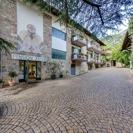Guest house Zeder 3*